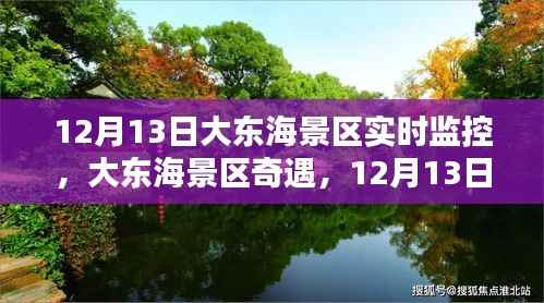 大东海景区奇遇,12月13日的魔法时光实时监控记录