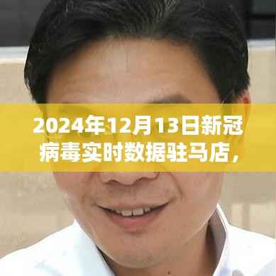 驻马店地区新冠病毒实时数据报告深度解析（2024年12月13日）