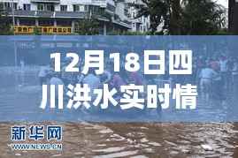 四川洪水退去后的宁静美景,探索一次远离尘嚣的心灵之旅(实时更新)