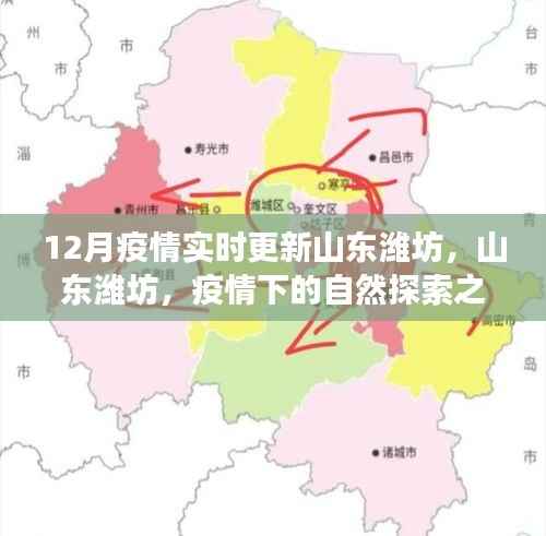 山东潍坊疫情下的自然探索之旅，寻找内心的宁静与力量，实时更新疫情动态