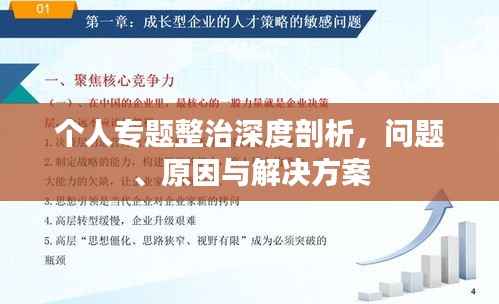 个人专题整治深度剖析，问题、原因与解决方案