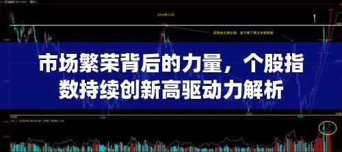 市场繁荣背后的力量,个股指数持续创新高驱动力解析