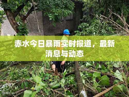 赤水今日暴雨实时报道,最新消息与动态