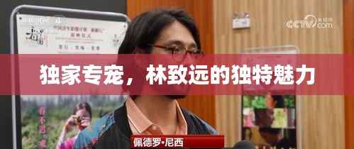 独家专宠,林致远的独特魅力