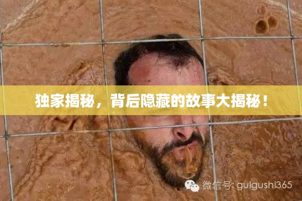 独家揭秘,背后隐藏的故事大揭秘!