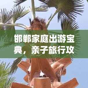 邯郸家庭出游宝典,亲子旅行攻略全攻略!