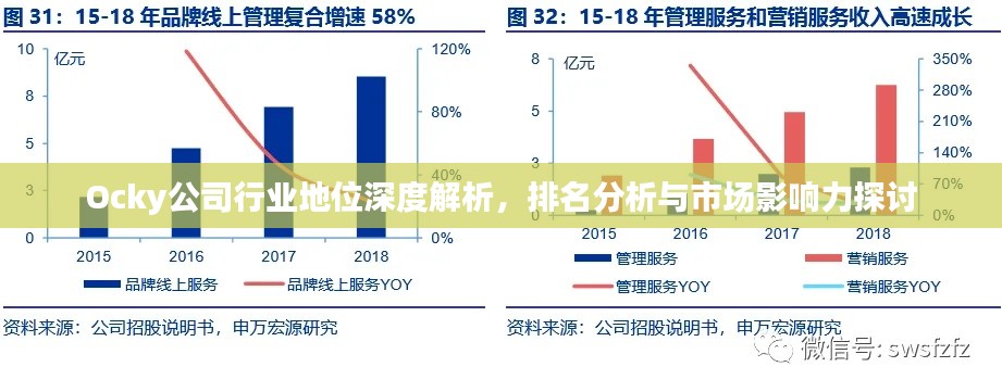 Ocky公司行业地位深度解析,排名分析与市场影响力探讨