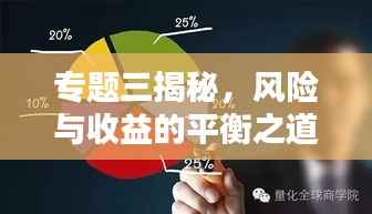 专题三揭秘,风险与收益的平衡之道