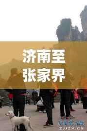 济南至张家界旅行攻略,探秘仙境之旅!