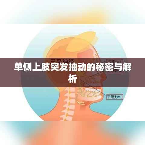 单侧上肢突发抽动的秘密与解析