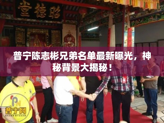 普宁陈志彬兄弟名单最新曝光,神秘背景大揭秘!