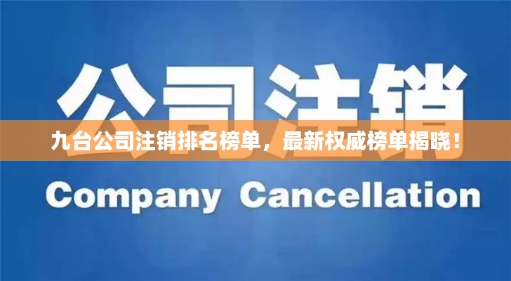 九台公司注销排名榜单,最新权威榜单揭晓!