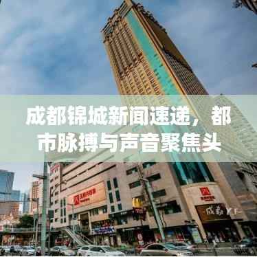 成都锦城新闻速递,都市脉搏与声音聚焦头条