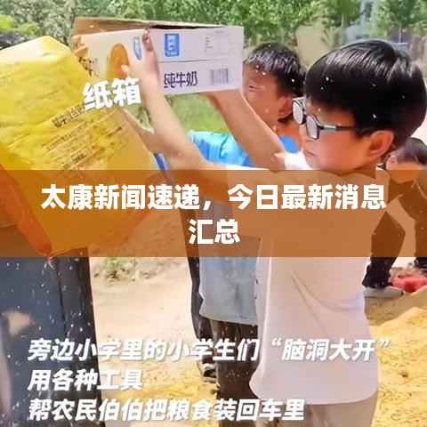 太康新闻速递,今日最新消息汇总