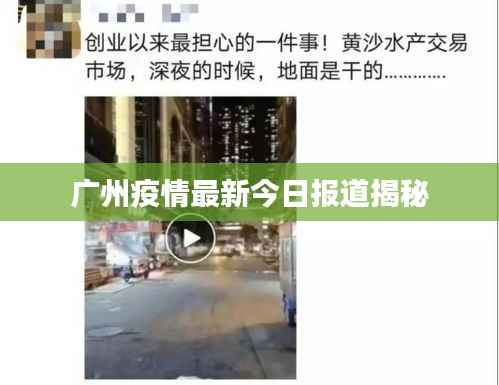 广州疫情最新今日报道揭秘