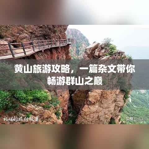 澹泊明志，宁静致远 第2页