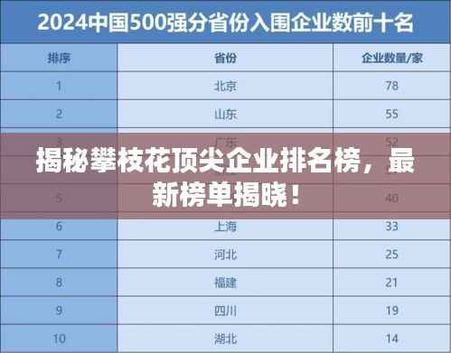 揭秘攀枝花顶尖企业排名榜,最新榜单揭晓!