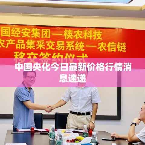 中国央化今日最新价格行情消息速递